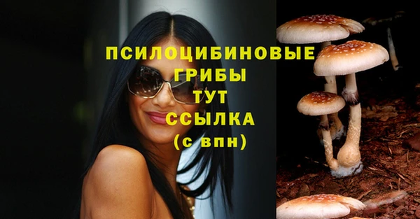 jwh Бородино