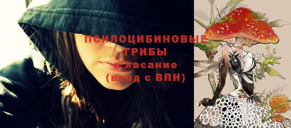 ПСИЛОЦИБИНОВЫЕ ГРИБЫ Навашино