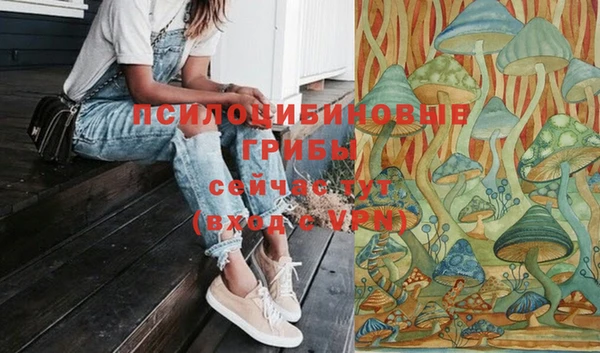 mix Надым