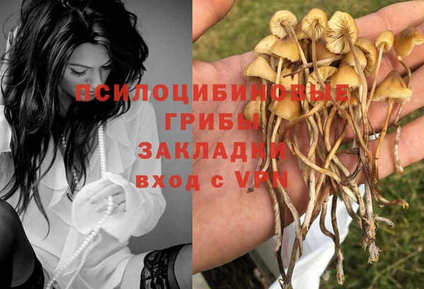 дмт Бронницы