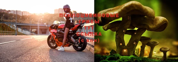 дмт Бронницы