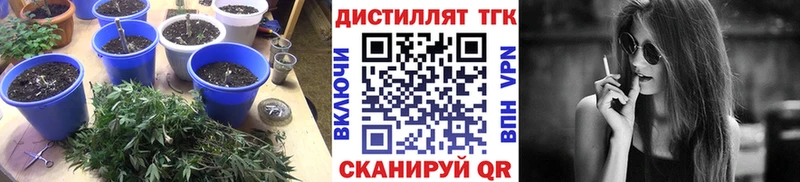 ТГК вейп  Нея 