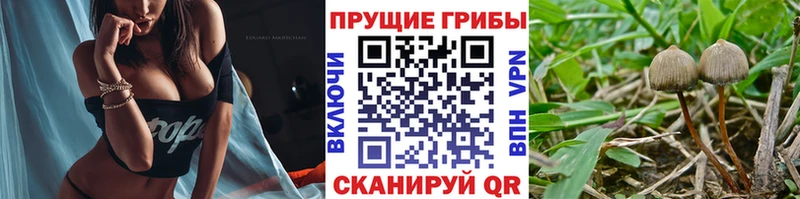 Галлюциногенные грибы Magic Shrooms  даркнет сайт  Нея 
